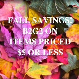 BUY 2 GET 2 (B2G2) on items that are $5 or less.